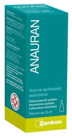 ANAURAN*GTT AURIC FL 25ML - Farmacia Mortise