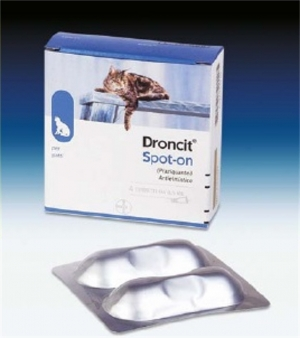 DRONCIT SPOTON*4TUBETTI 0,5ML - Farmacia Mortise