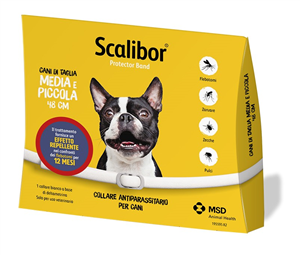 SCALIBOR PROTECTOR BAND*BI48CM - Farmacia Mortise