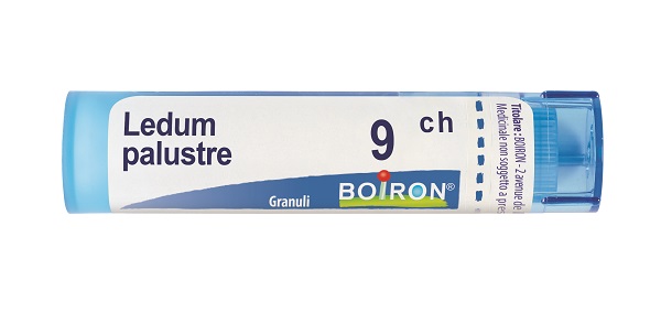 LEDUM PALUSTRE 9 CH GRANULI 4G - Farmacia Mortise