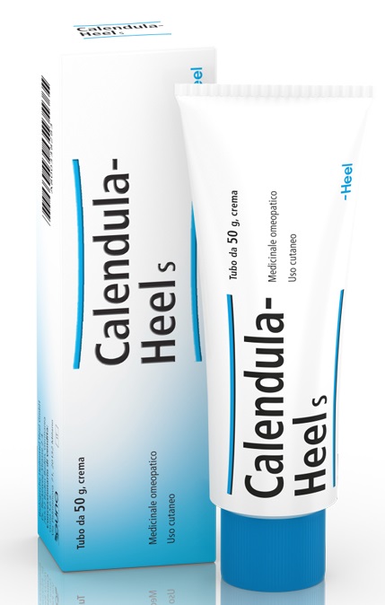 HEEL CALENDULA SALBE POMATA M 50 G - Farmacia Mortise