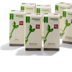 BETULLA PUBESCENS GEMME MACERATO GLICERICO 50 ML - Farmacia Mortise