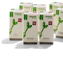 GINEPRO MACERATO GLICERICO 50 ML - Farmacia Mortise