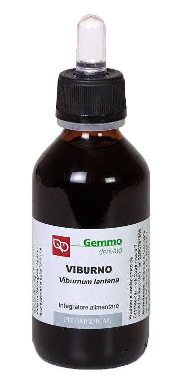 VIBURNO MACERATO GLICERICO 200 ML - Farmacia Mortise