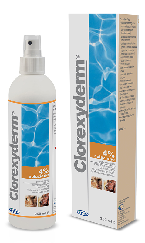 CLOREXYDERM SOLUZIONE 4% 250 ML - Farmacia Mortise