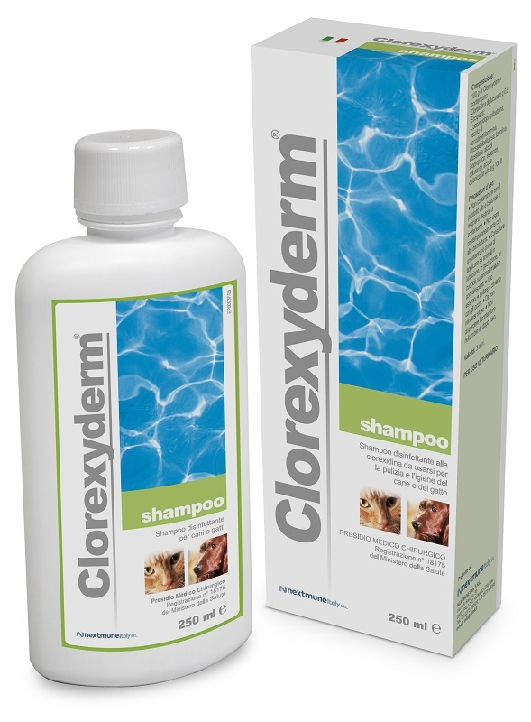 CLOREXYDERM SHAMPOO 250 ML - Farmacia Mortise