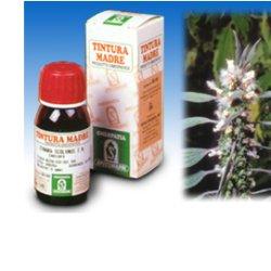 CARDIACA 16 50ML TM - Farmacia Mortise