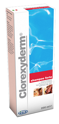 CLOREXYDERM SHAMPOO FORTE 200 ML - Farmacia Mortise