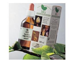 CARPINO 100 ML MACERATO GLICERICO - Farmacia Mortise