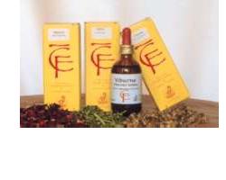 RIBES GEMME MACERATO GLICERICO 100 ML - Farmacia Mortise