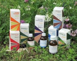 RAEMIL N1 AVENA COMPOSTO 25 ML - Farmacia Mortise