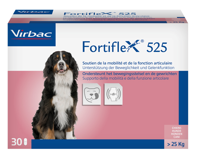 FORTIFLEX 525 MG 30 COMPRESSE APPETIBILI - Farmacia Mortise