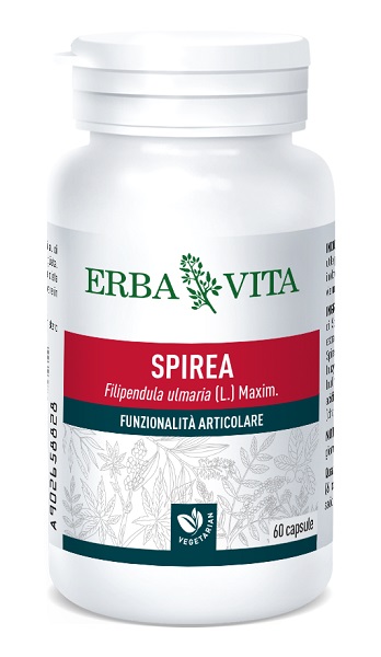 SPIREA ULMARIA 60 CAPSULE 400 MG - Farmacia Mortise