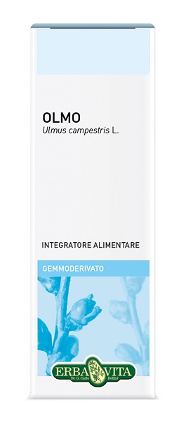 GEMMODERIVATO OLMO 50 ML - Farmacia Mortise