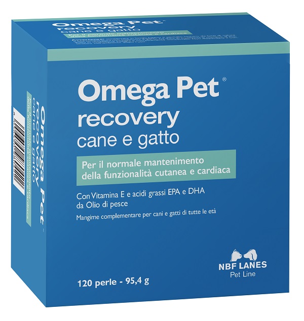 OMEGA PET RECOVERY BLISTER 120 PERLE - Farmacia Mortise