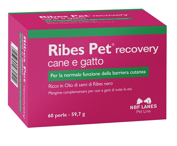 RIBES PET RECOVERY BLISTER 60 PERLE - Farmacia Mortise