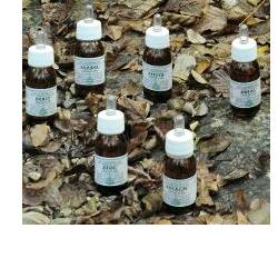 PLANTASALUS OLIO MASSAGGIO 30 ML - Farmacia Mortise