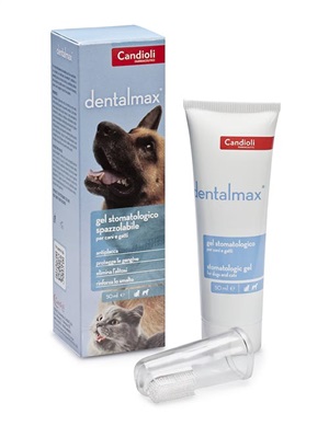 DENTALMAX GEL STOMATOLOGICO 50 ML - Farmacia Mortise