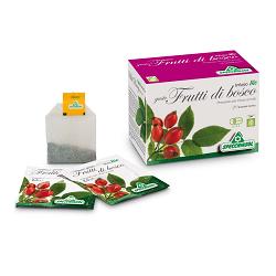 INFUSO BIO FRUTTA FRUTTI DI BOSCO 20 FILTRI - Farmacia Mortise