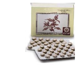 CIMICIFUGA 50 TAVOLETTE 500 MG - Farmacia Mortise