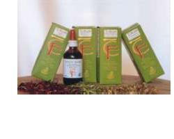 TOTUM ROSMARINO 50 ML - Farmacia Mortise