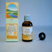 ANGEFIN SOL IAL 50ML - Farmacia Mortise