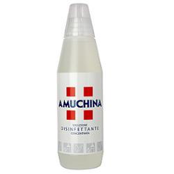 DISINFETTANTE IGIENIZZANTE A BASE DI IPOCLORITO DI SODIO ANTIMICROBICO AD AMPIO SPETTRO D'AZIONE AMUCHINA LIQUIDA 100% 1000 ML - Farmacia Mortise