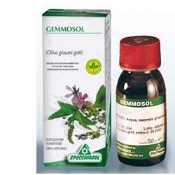 GEMMOSOL 36 RIBES NERO 50ML - Farmacia Mortise