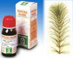 EQUISETO 12 50ML TM - Farmacia Mortise