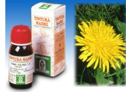TARASSACO 28 50ML TM - Farmacia Mortise