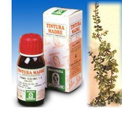 UVA URSINA 30 50ML TM - Farmacia Mortise