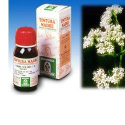 VALERIANA 36 TINTURA MADRE 50 ML - Farmacia Mortise