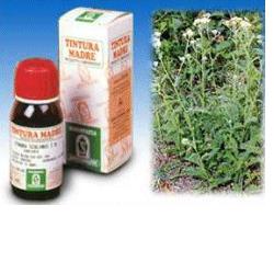 ACHILLEA 51 TINTURA MADRE 50 ML - Farmacia Mortise
