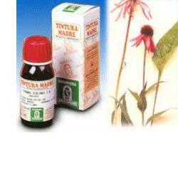 ECHINACEA 59 50ML TM - Farmacia Mortise