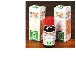 ERISIMO 61 50ML TM - Farmacia Mortise