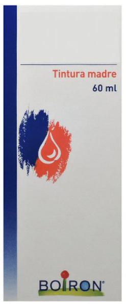 TARAXACUM TINTURA MADRE 60 ML - Farmacia Mortise
