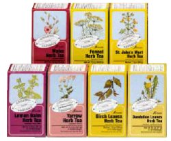 TARASSACO TISANA 15 FILTRI BIO - Farmacia Mortise