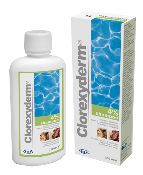 CLOREXYDERM SHAMPOO 4% 250 ML - Farmacia Mortise