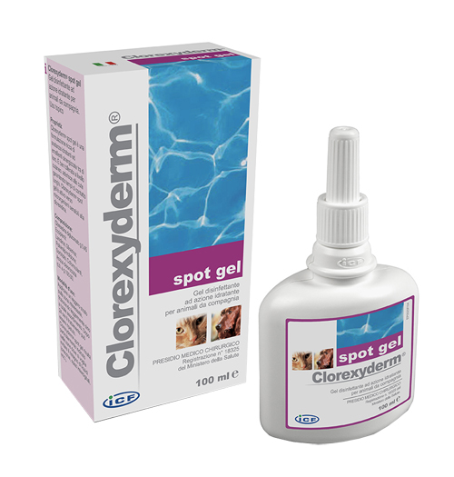 CLOREXYDERM SPOT GEL 100 ML - Farmacia Mortise