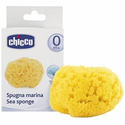 CHICCO SPUGNA MARE PICCOLA - Farmacia Mortise