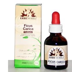 FITOBLASTO FICUS CARICA 50 ML - Farmacia Mortise