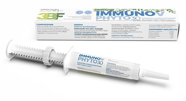 IMMUNOV PASTA SIRINGA 30 G - Farmacia Mortise