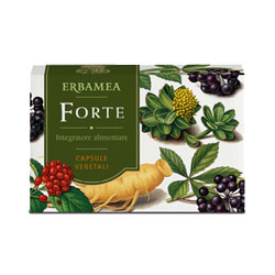FORTE 24 CAPSULE - Farmacia Mortise
