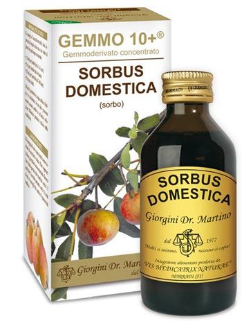 SORBO ANALCO GEMMO 10+ 100 ML - Farmacia Mortise