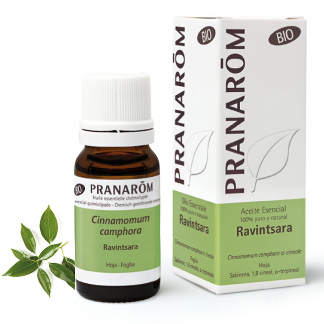 PRANAROM RAVINTSARA OLIO ESSENZIALE BIO 10 ML - Farmacia Mortise