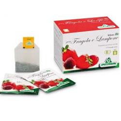 INFUSO BIO FRAGOLA E LAMPONE 20 FILTRI - Farmacia Mortise