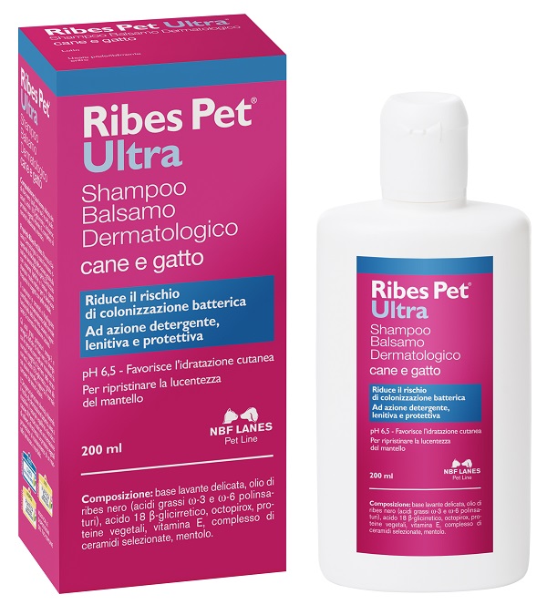 RIBES PET ULTRA SHAMPOO DERMATOLOGICO FLACONE 200 ML - Farmacia Mortise