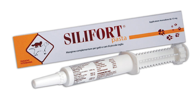 SILIFORT PASTA OS SIRINGA 30 G - Farmacia Mortise