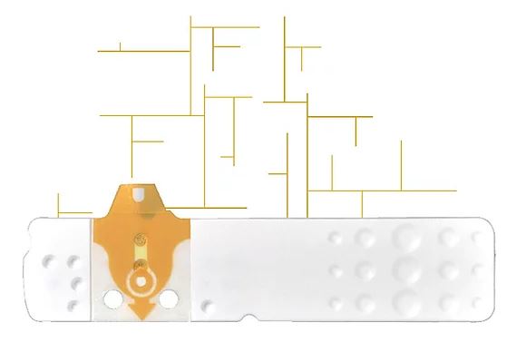 STRISCE MISURAZIONE GLICEMIA LINEA D ORO 50 PEZZI - Farmacia Mortise