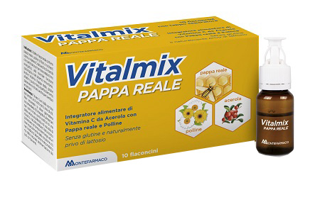 VITALMIX PAPPA REALE 10FLACONCINI X10 ML S/GL - Farmacia Mortise